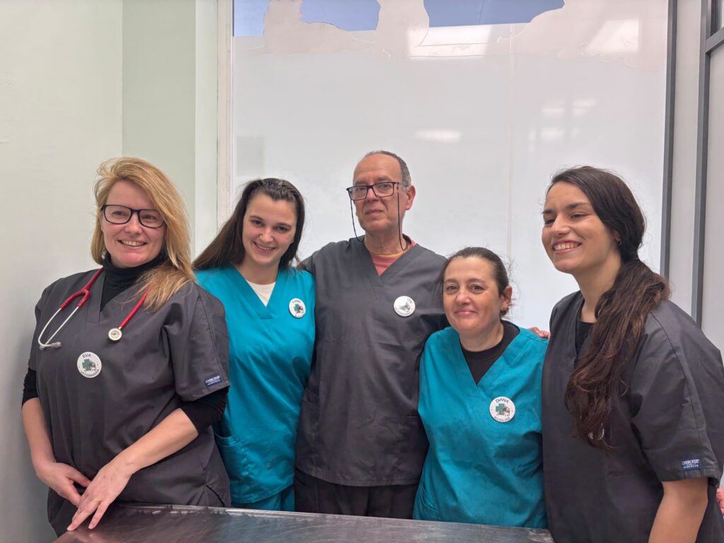 Equipo Veterinario Gijón Equipo Veterinario Gijón
